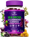 Irish Sea Moss Gummis – Bladderwrack Burdock Root Elderberry Vitamin C & Zink – 60 Vegan Seamoss Gummy Bears für Erwachsene Kinder Männer Frauen – Multimineral Elderberry Vitamins