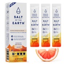 Salz der Erde Premium Zero-Sugar Elektrolyt - Hergestellt mit Rosa Himalayan Salz - Hydration Pulver Pakete | Premium Zutaten | Keto & Paleo Friendly | 3 Sticks, Orange