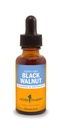 Extrait liquide de noyer noir pour le nettoyage et la désintoxication - 1 Ounce