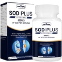 Superoxid Dismutase Supplement 500mg - SOD Plus mit liposomalen Glutathion, AKG, Green Tea Extract, L-Arginin, Lysin, Resveratrol und Vitamin E für Immununterstützung, Antioxidant 60 Kapseln