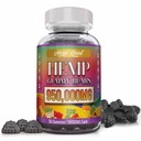 Hanfgummis Neuropathie Nerve Support Supplement Hohe Potenz - Natürliche Gesundheit reine Extrastärke mit Hanföl Extrakt Vegan Edibles für Erwachsene Vegan, Low Sugar, Made in USA