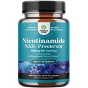 Vitamine B3 Niacinamide 500mg Capsules - Mitochondrial Énergie et supplément de peau potent - AKA Vitamine B3 Niacin 500mg Sans flush et Nicotinamide 500mg - Supplément sans flush Niacin - 240 Compte