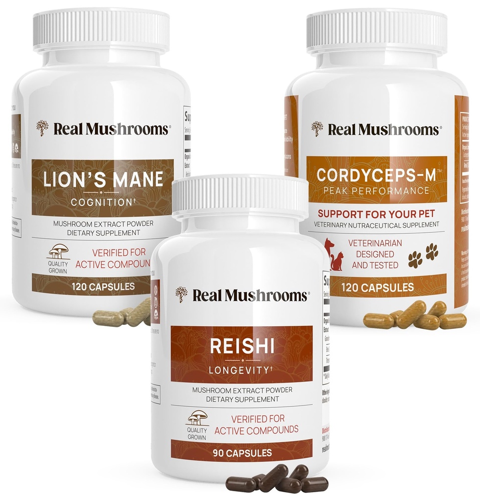 Reale Pilze Gehirn, Vitalität und Immununterstützung Bundle - Lion's Mane Cognition Capsules (120 Kapseln) + Reishi 415 Longevity Capsules (90 Kapseln) & Cordyceps-M Peak Performance (120 Kapseln)
