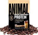 Poudre de café aux protéines de lactosérum, chargée de 22g de protéines, de 100mg de caféine et de BCAA pour la récupération des muscles avant et après l'entraînement avec des enzymes digestives pour les hommes et les femmes, latte de la truie froide, 1 lb