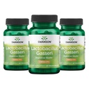Swanson Lactobacillus Gasseri Probiotique pour adultes à la recherche d'un soutien digestif et métabolique avec 3 milliards CFU - résistant à l'acide, pas de réfrigération (60 capsules véganes, 3 paquets)