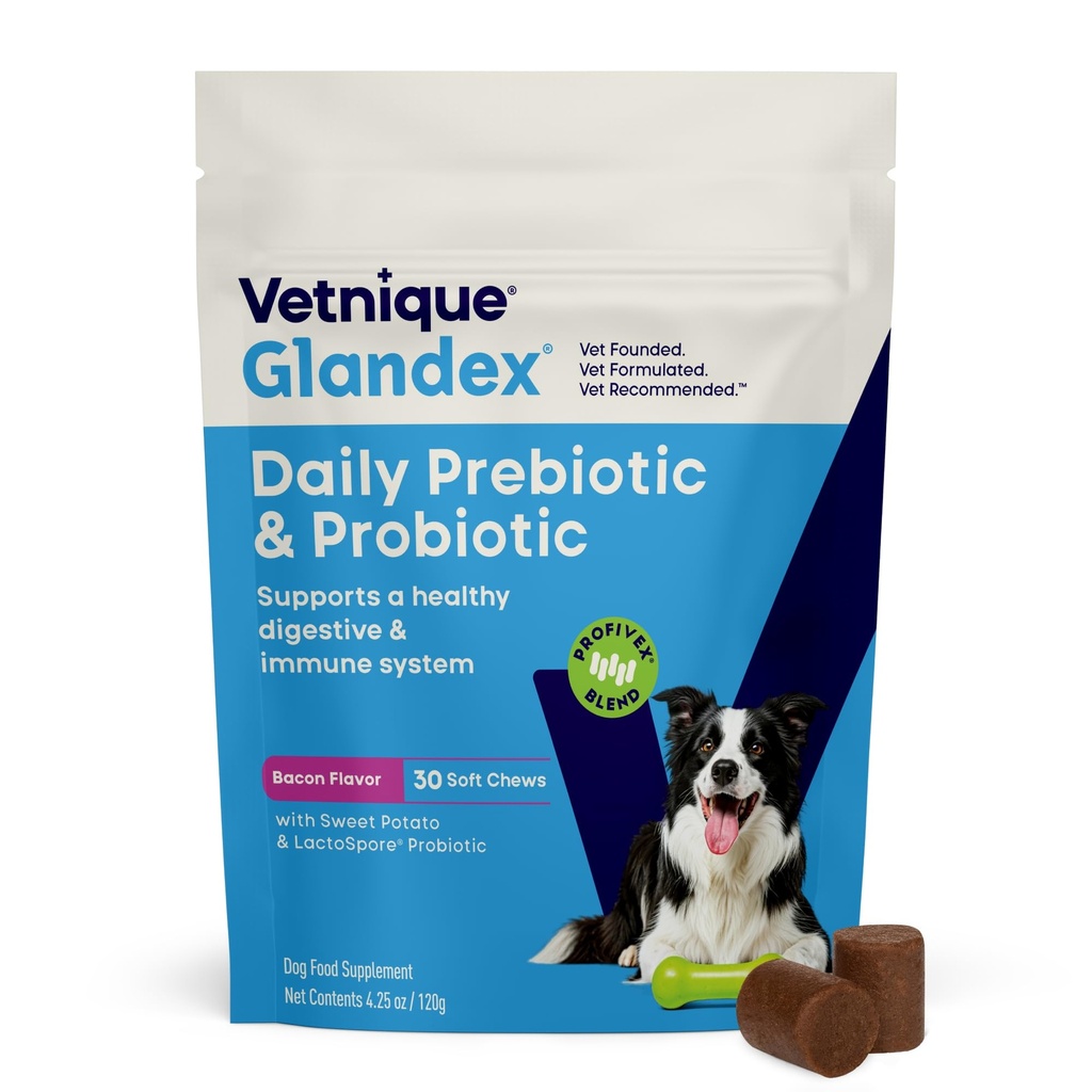 Vetnique Glandex Probiotiques quotidiens pour chiens avec prébiotiques pour soutenir la santé des gorgés avec fibres et enzymes digestives, chips probiotiques ou poudres (30ct Chews, bacon Chews)