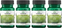 Swanson Oregano Öl 10:1 Extrakt - Natürliche Ergänzung Förderung Verdauungs- und Atemunterstützung - Unterstützt gastrointestinale System- und Urinary Tract Health - (120 Softgels, 150mg Jeder) (4 Pack)