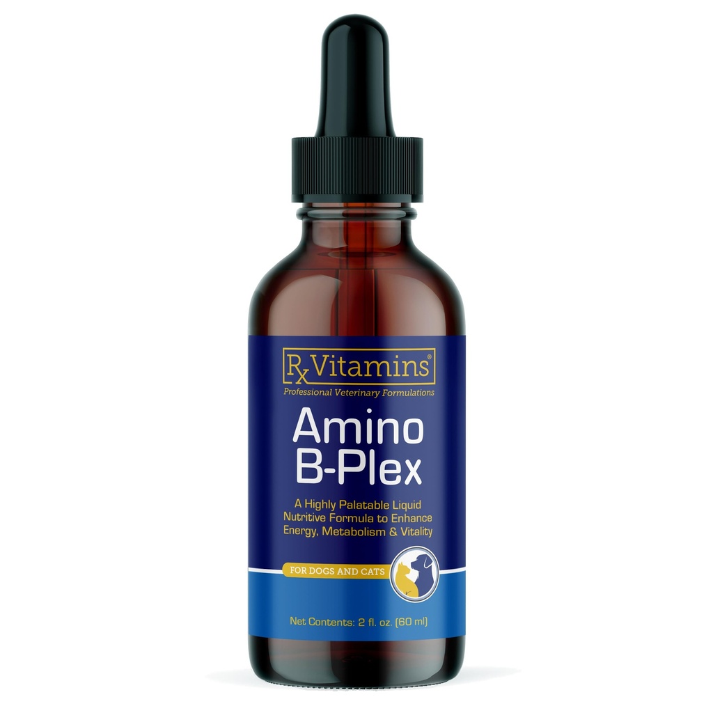 Rx Vitamins Amino B Plex Cat & Dog Supplement - Vitamin B Complex Liquid Plus Aminosäuren für Hunde & Katzen - Appetite Booster und Gewicht Gainer Katze & Hunde Vitamine - 2 oz