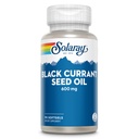 SOLARAY Black Currant Seed Oil 600 mg - Versorgung Antioxidantien, Gamma Linolenic Acid (GLA), Alpha Linolenic (ALA) und Linoleic Acid (LA) - Hautgesundheitsunterstützung - 60-Day Guarantee, 90 Serv, 90 Softgels