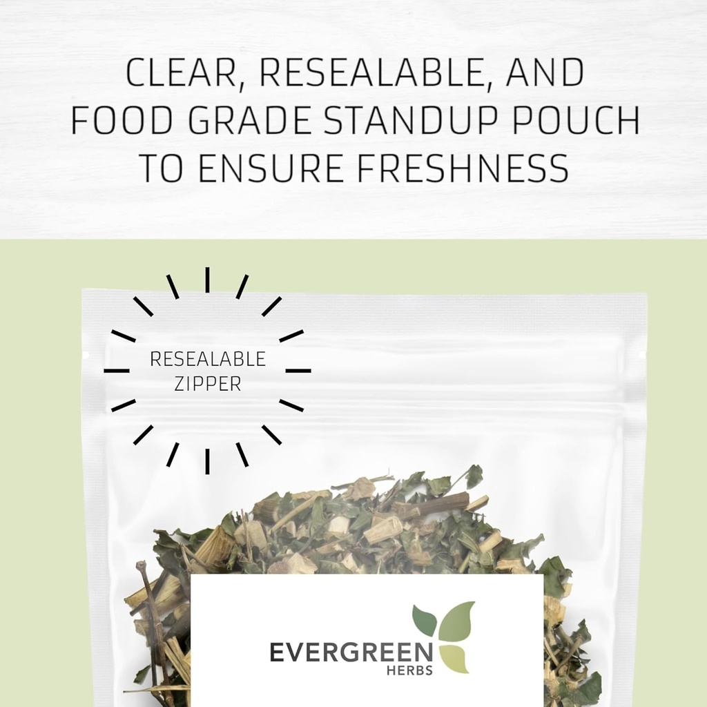 Evergreen Herbs Cuachalalate Herb (Amphipetyglum Adstringens) - Wiederverschließbarer Stand Up Pouch, um Frische zu gewährleisten! (Tea Bags)