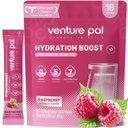 Venture Pal Powder Packets sans électrolyte de sucre - Liquid Daily IV Drink Mix pour l'hydratation rapide et la récupération des parties
