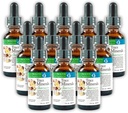 Morter Trace Minerals in kolloidaler Suspension (12 Pack) Morter HealthSystem Best Process Alkaline — Nährstoffdichte Spurenelemente, Fulvic Minerals & Aminosäuren