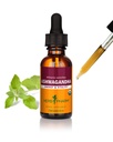 Extrait d'Ashwagandha biologique certifié Herb Pharm pour énergie et vitalité, grain, alcool de canne biologique, 1 once