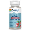 SOLARAY Extra Hot Cool Cayenne 100.000 HU - Traditionelle Folk Remedy and Digestion Aid - Bio-Cool Prozess - Lab Verified, GMP Facility, 60-Day Garantie - 45 Servietten, 90 VegCaps