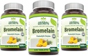 Herbal Secrets Bromelain 500 Mg 120 Tabletten Supplement | Paket von 3 | Non-GMO | Gluten Free | Made in USA