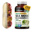 BIO KRAUTER Irish Sea Moss Kapseln 1600 mg - 250 Count - Vegan Bladderwrack mit Chondrus Crispus Sea Moss Supplement