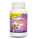 Arymar Chanca Piedra avec canneberge – Soutien à base de plantes pour le bien-être urinaire et la fonction rénale (60 capsules)
