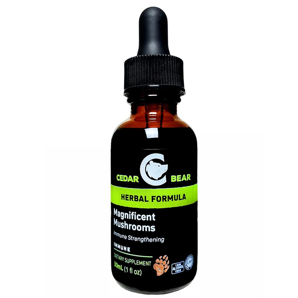 Zedernb Magnificent Mushrooms eine flüssige Kräuterergänzung, die das Immunsystem baut, schützt, stärkt und Balancen Gesamtgesundheit 1 Fl Oz