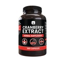 PURE ORIGINAL INGREDIENTS Cranberry Extract (365 Kapseln) Kein Magnesium oder Reisfüller, Immer rein, Lab Verifiziert