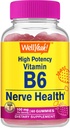 Wellja High Potency Vitamin B6 Gummies - fördert Nerve Gesundheit, kognitive Funktion, Mood-Regulierung, Immununterstützung und Herz-Kreislauf-Gesundheit - Vegan, Non-GMO, Gluten-Free - 60 Count