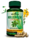 KIKI Green Mullein Blatt Extrakt Kapseln - Vegan Kräuterergänzung - für Lung Cleanse, Unterstützung, bessere Atmung, Immunfunktion - 1000mg 45 Servierungen - 90 Zähler