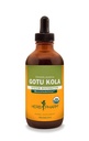 Herb Pharm Certified Organic Gotu Kola Liquid Extract for Musculoskeletal System Support - 4 Ounce