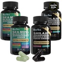 Boysea. Shilajit und Sea Moss Bundle- 90 Count - Sea Moss, Black Seed Oil, Ashwagandha, Ginger & Shilajit, Rhodiola Rosea, Alle in 1 Ergänzungen (2 Pc)