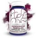 Andrographis paniculata Capsules $ 200mg $ 60 Count $ 50% Andrographolides $ Soutient la fonction immunitaire $ Soutient la fonction cellulaire