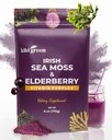 KIKI Green Sea Moss Pulver mit Elderberry - Vegan Superfood Multivitamin Blend - für Immun-Boost und Unterstützung - Zu Glatteien, Saft, 6 Unzen
