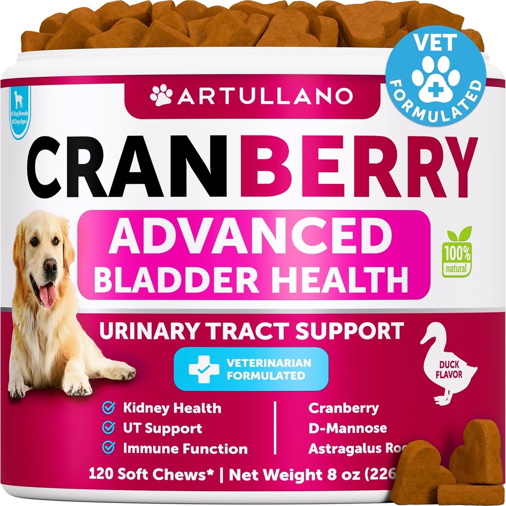 Hunde UTI Behandlung - Cranberry Supplement & Bladder Kontrolle für Hunde - Urinary Tract Infection Incontinence Pill, Bladder Stones - UTI Medicine Treats - 120 Soft Chews für Kidney Unterstützung mit Fischöl