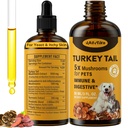 Türkei Tail Mushroom für Hunde - Schnellere Absorption 2000mg Türkei Tail Mushroom für Immun & Verdauung, Gelenk, Energie, 5X Pilze für Tiertropfen mit Turmeric & Probiotic - Vet Formulated, 90 ML/3FL.oz