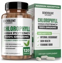 Benevolent Chlorophyll Kapseln 350mg - 100% natürlich + Ultra Chlorophyll 20x Potenzkonzentration für Energiestärke, Immununterstützung, interner Deodorant, Hautgesundheit, Non-GMO, 120 Kapseln