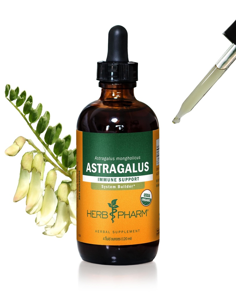 Extrait liquide Astragalus biologique certifié Herb Pharm pour le support du système immunitaire - 4 Once