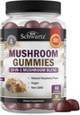 Mushroom Gummies for Adults - 10-in-1 Functional Mushroom Supplement for Mood and Focus with Lions Mane Turkey Tail Cordyceps Shiitake Reishi - Vegan, Non-GMO, Fresh Raspberry Flavor, 60 Count