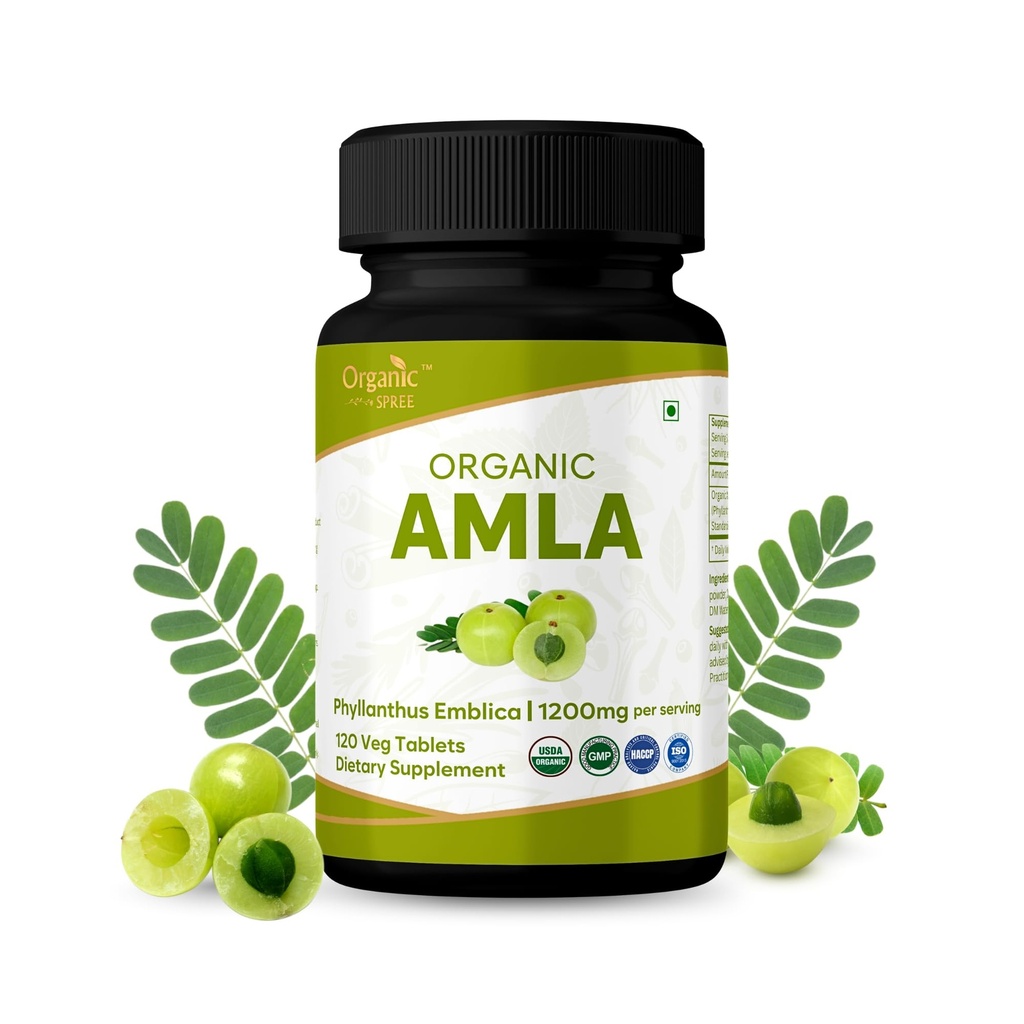 Amla 120 Tabletten – USDA Organic Indian Gooseberry – Reich an Vitamin C & unterstützt Immungesundheit*