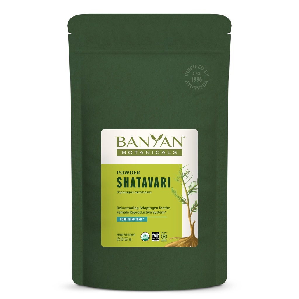 Banyan Botanicals Shatavari Powder – Organic Asparagus Racemosus Root Powder – Rejuvenating Adaptogen Tonic, die ein gesundes Fortpflanzungssystem unterstützt* – 1/2 lb. – Non-GMO Sustainable Sourced Vegan