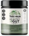 TERRA ORIGIN Gesundes Gut Mint Flavor |30-Servings mit L-Glutamin, Zink, Glucosamin, Slippery Elm Bark, Marshmallow Root und mehr!