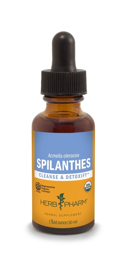 Kräuter Pharm Certified Organic Spilanthes Flüssiger Extrakt für Reinigung und Entgiftung - 1 Unze
