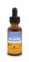 Kräuter Pharm Certified Organic Spilanthes Flüssiger Extrakt für Reinigung und Entgiftung - 1 Unze