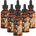 Liposomaler Pilzkomplex Tropfen 2000 MG - 20 Organische Pilzextrakte - Fortgeschrittene flüssige Formel für Immunität, kognitiv und Gedächtnis - Lions Mane Supplement, Reishi, Cordyceps, Chaga, 180 Portionen