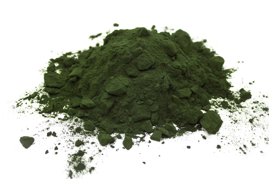 Bio Green Spirulina Pulver 100g