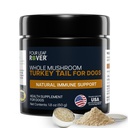 Türkei Tail Mushroom für Hunde - Ganzes, Organisches Pilz-Extrakt - Über 50% Beta-Glucan - Third Party Getestet, Made in USA - No Grains No Fillers - 60 Day Large Dog Supply