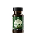 Serene Herbs 17-en-1 Capsules de mousse de mer avec Seamoss Irlandais, Huile de Graine Noire, Ashwagandha, Turmeric & Bladderwrack - Immunity, Energy & Gut Support avancé - Supplément naturel à base de plantes - 60 Compte