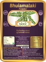 Poudre de Bhumi Amla biotique de Veena (Phyllanthus Niruri) Poudre de Bhoomi Amla - Poudre de Bhuiamlaki - 100gm