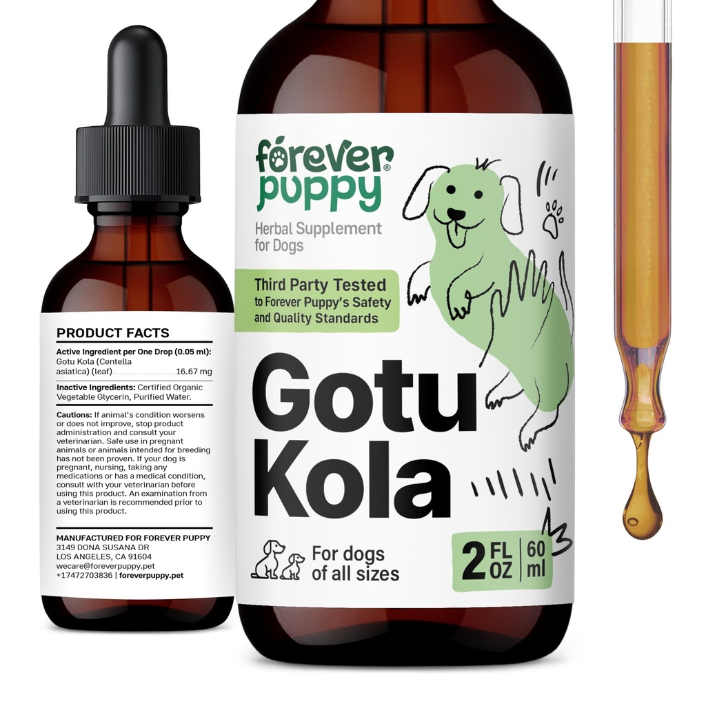 Forever Puppy Gotu Kola Tropfen für Hunde - Centella Asiatica & Gotu Kola Extrakt für Gehirn-Gesundheit Unterstützung - Liquid Brain Ergänzung für Hunde aller Rassen & Größen - 2 oz
