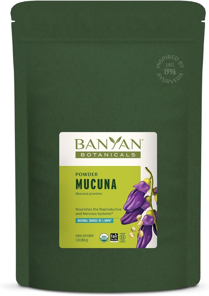 Banyan Botaniques Kapikacchu poudre, 1 livre - USDA biologique - Mucuna pruriens - Source naturelle de L-dopa*