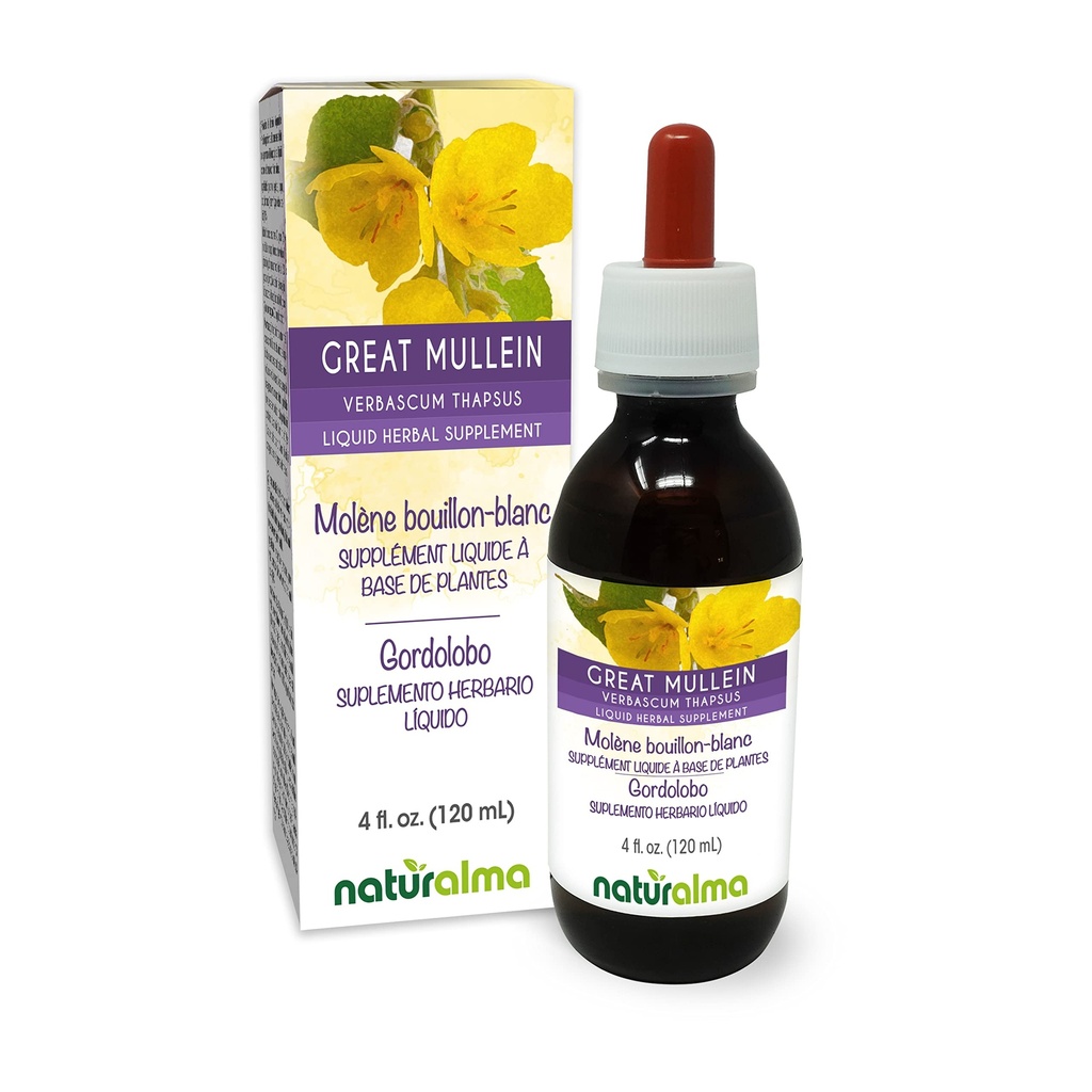 Naturalma Great Mullein oder Common Mullein (Verbascum thapsus) Flower and Leaf Alcohol-Free Tincture - 4 fl oz Flüssiger Extrakt in Tropfen - Kräuterergänzung - Vegan