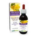 Naturalma Great Mullein oder Common Mullein (Verbascum thapsus) Flower and Leaf Alcohol-Free Tincture - 4 fl oz Flüssiger Extrakt in Tropfen - Kräuterergänzung - Vegan