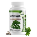 Pure Moringa Oleifera Capsules Superfood Vertes avec des Acides Amino, Oméga 3 et Vitamine C - Boosts Energy, Mood, Memory, Immmune Support - Fabriqué à partir de Moringa Organique, Non-OGM - 60 Capsules (1 Bouteille)