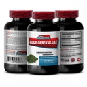 Reine Kräuter-Ergänzung - Klamath Blue Green Algae 500mg - Erhöhung der Energieniveaus, Verbesserung der Verdauung und Verbesserung Immunsystem, Spirulina, Chlorella, Klamath Blue Green Algae Powder - 1B 60 Kapseln